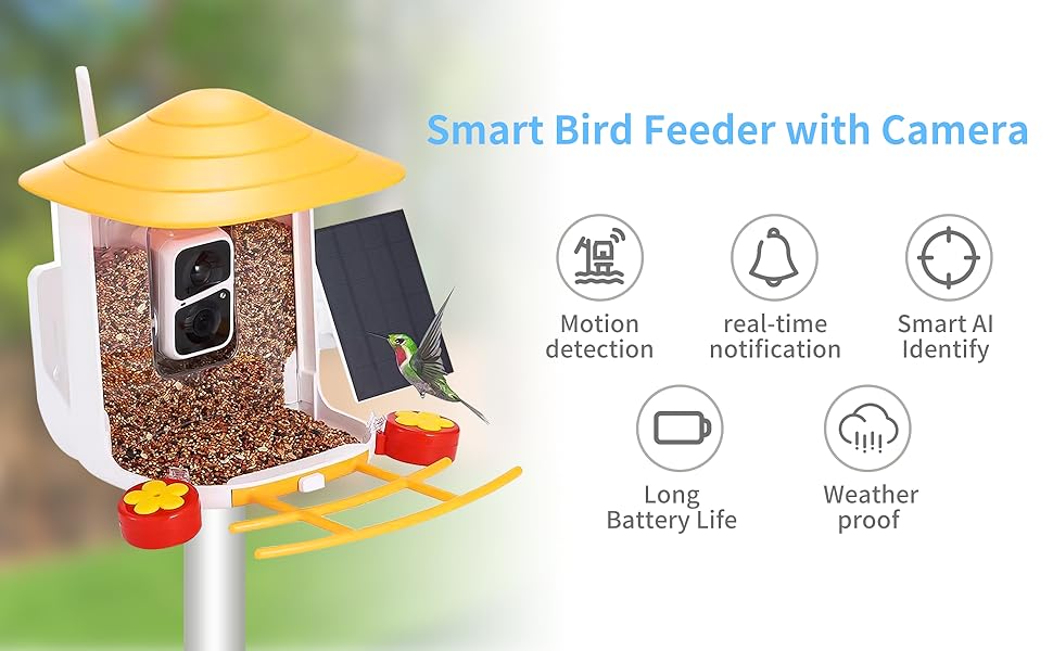 Bird Feeder with Camera for Outside